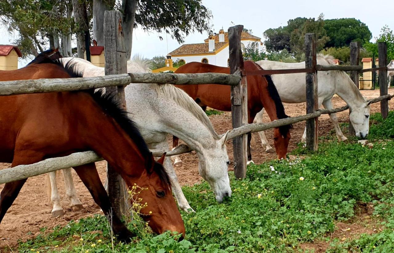 Posada Rural La Corbera Utrera Dış mekan fotoğraf