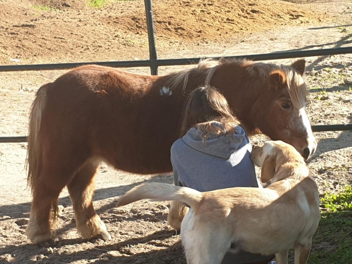 Posada Rural La Corbera Utrera Dış mekan fotoğraf