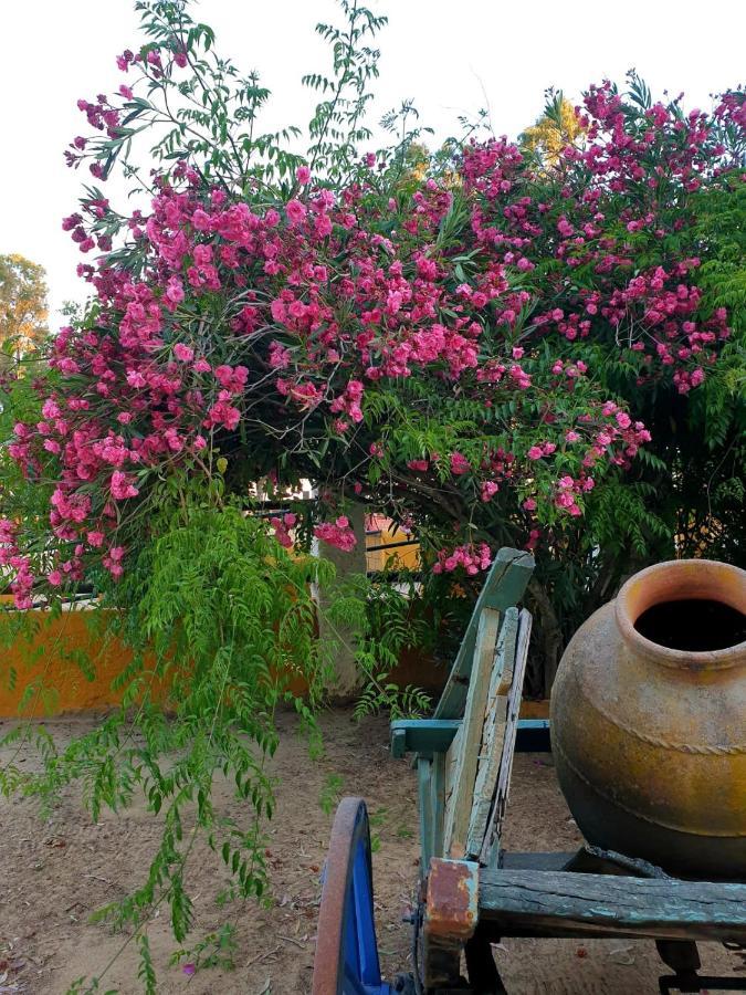 Posada Rural La Corbera Utrera Dış mekan fotoğraf