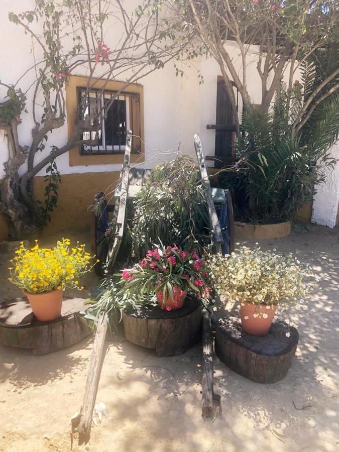 Posada Rural La Corbera Utrera Dış mekan fotoğraf