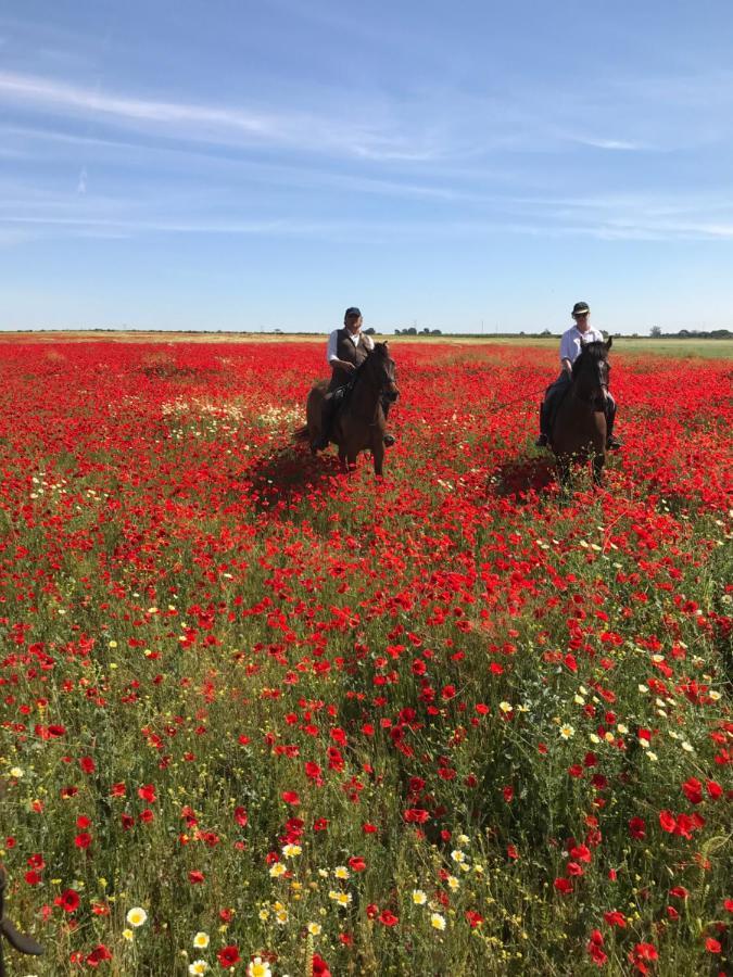 Posada Rural La Corbera Utrera Dış mekan fotoğraf