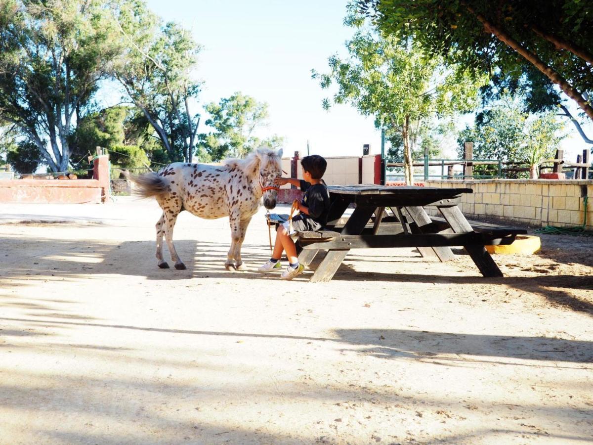 Posada Rural La Corbera Utrera Dış mekan fotoğraf