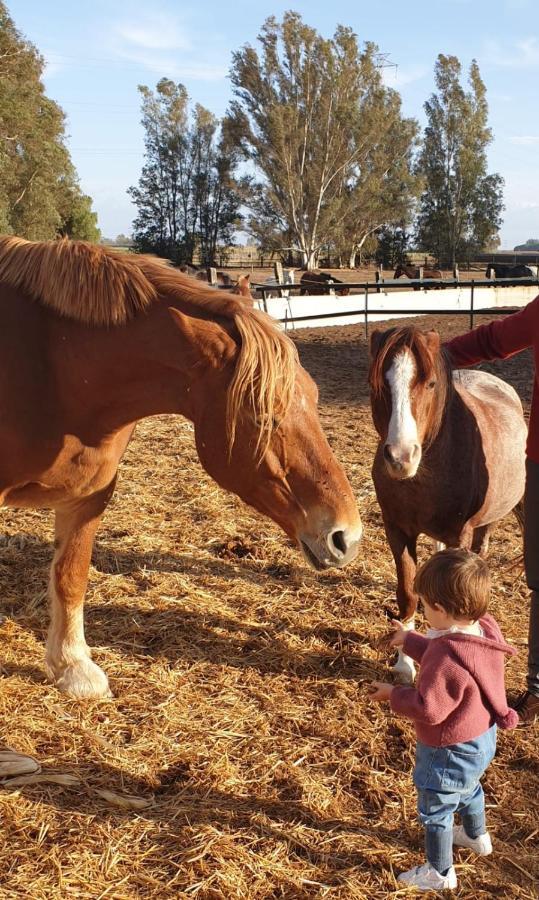 Posada Rural La Corbera Utrera Dış mekan fotoğraf